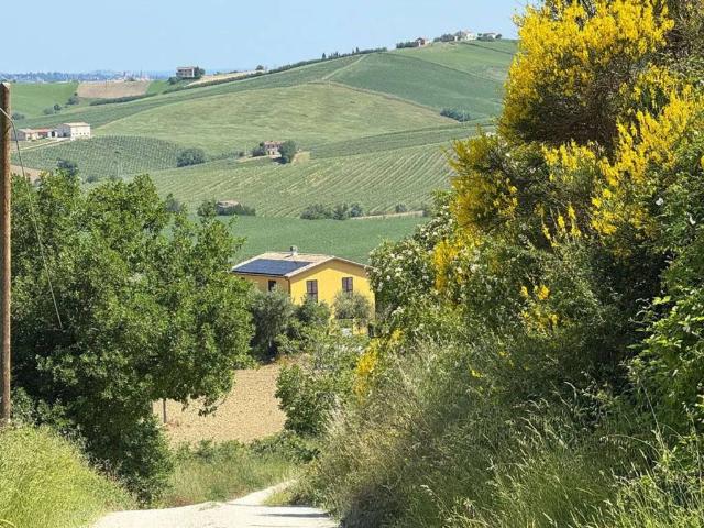 Rustico in vendita a Marche, Ancona