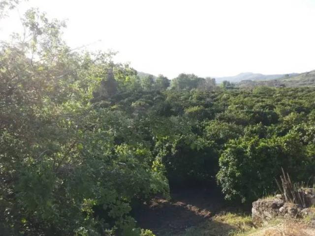 Rustico in vendita a Calabria, Reggio Calabria