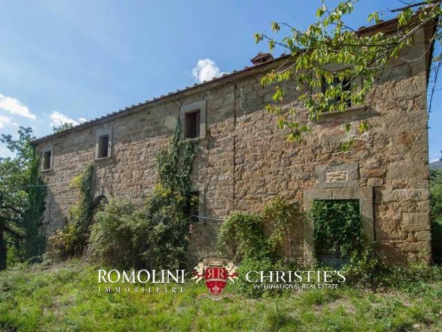 Rustico in vendita a Subbiano, Toscana