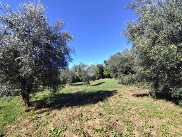 Rustico in vendita a Roma Capitale, Lazio