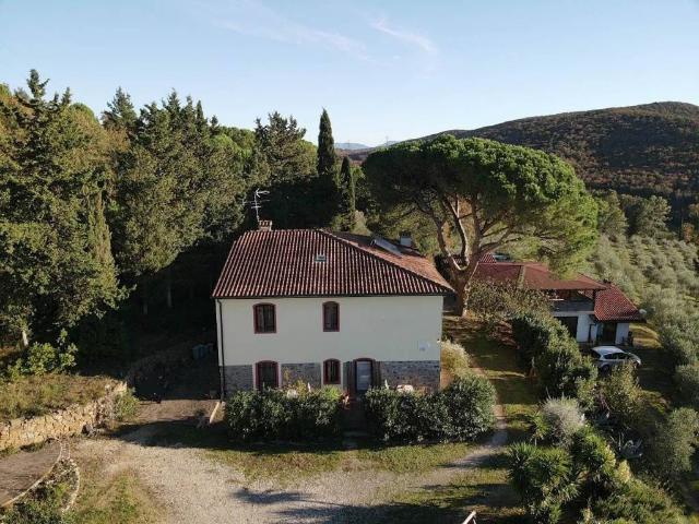 Rustico in vendita a Poggio al Turco, Suvereto