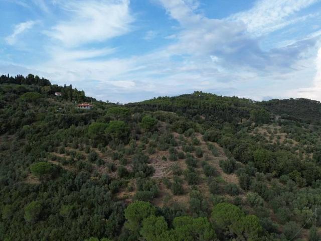Rustico in vendita a Belvedere, Suvereto