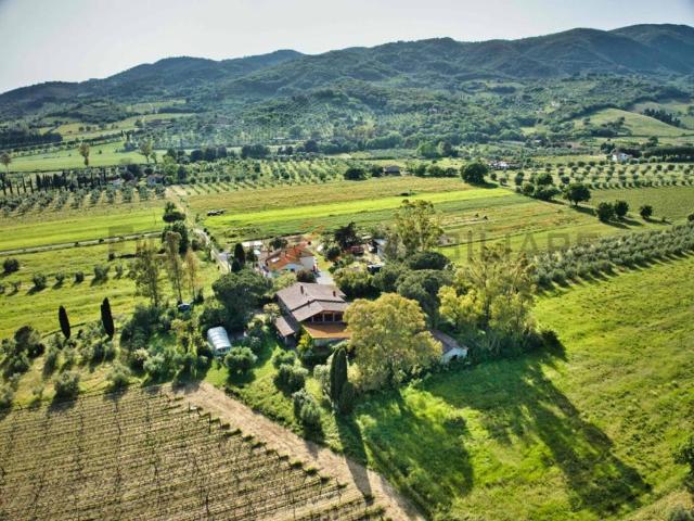 Rustico in vendita a Suvereto, Toscana