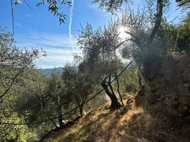 Rustico in vendita a Taggia, Badalucco