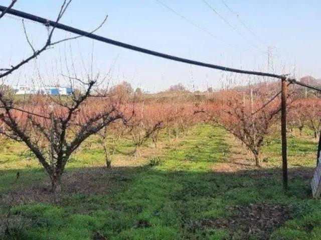 Rustico in vendita a Teano, Campania
