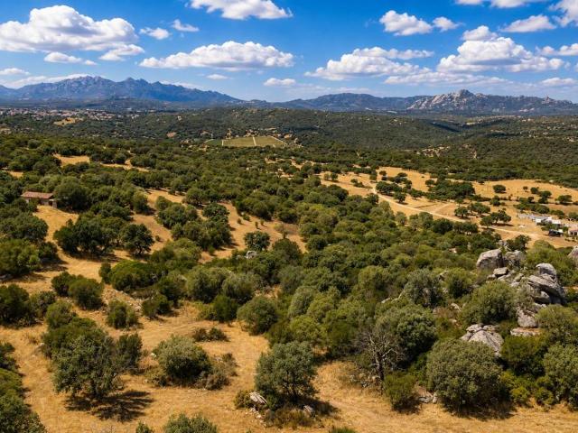 Rustico in vendita a Telti, Sardigna/Sardegna