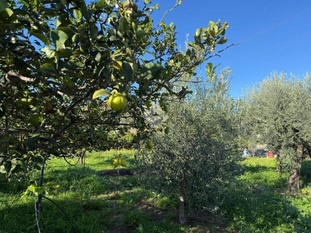 Rustico in vendita a Termini Imerese, Sicilia