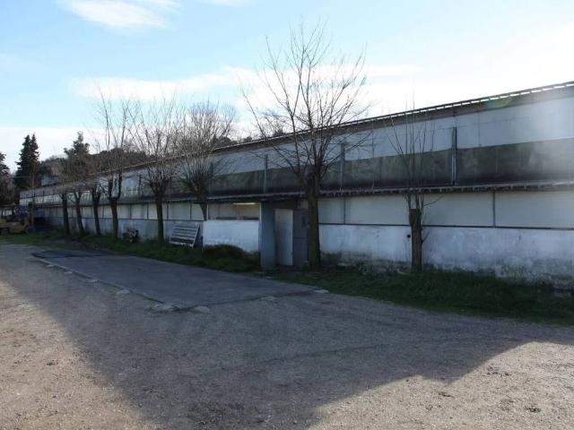Rustico in vendita a Colli al Metauro, Marche