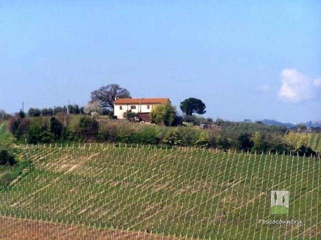 Rustico in vendita a Terricciola, Toscana