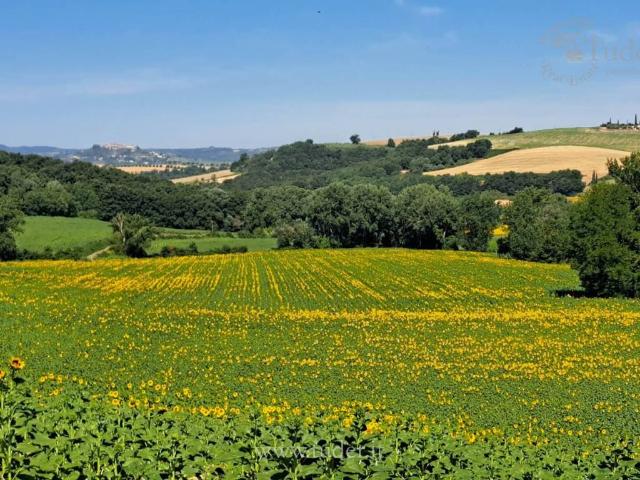 Rustico in vendita a Petroro, Izzalini