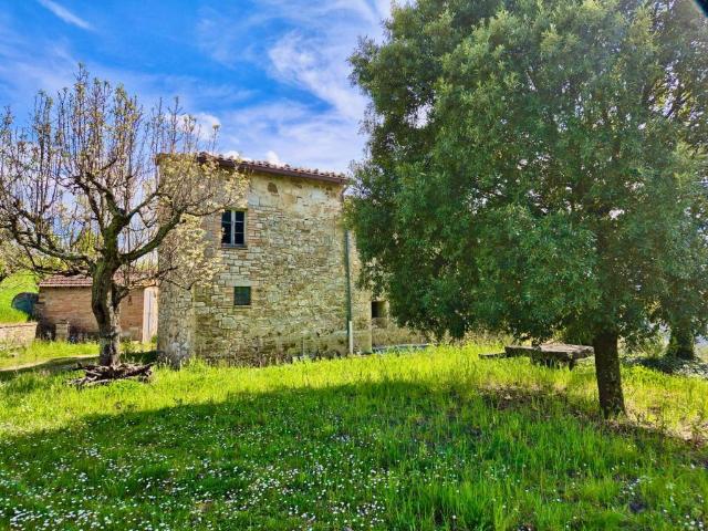 Rustico in vendita a Izzalini, Umbria