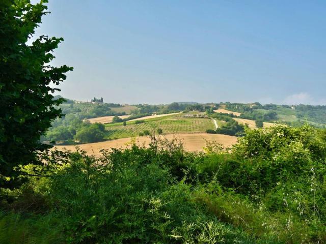 Rustico in vendita a Cacciano, Izzalini