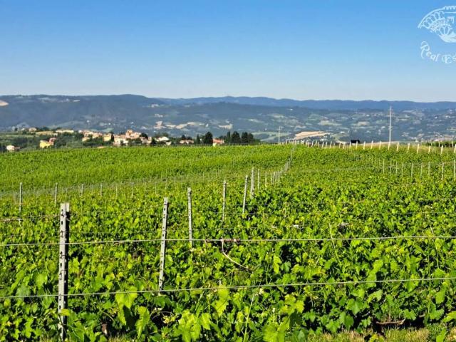 Rustico in vendita a Izzalini, Umbria