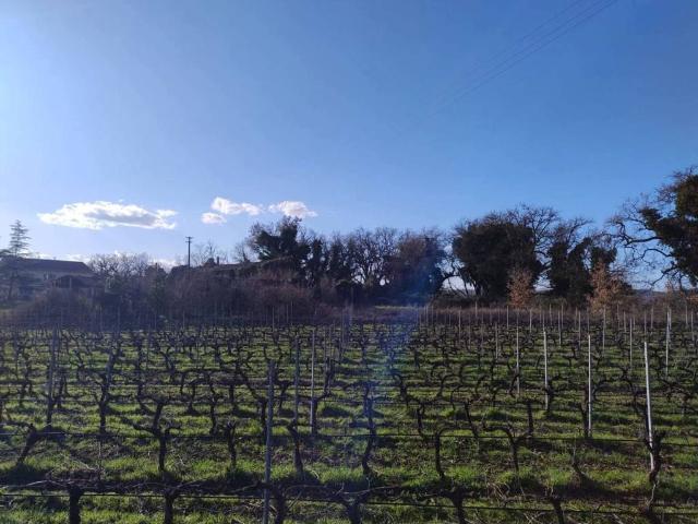 Rustico in vendita a Torgiano, Umbria