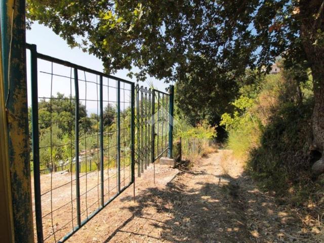 Rustico in vendita a Torraca, Campania