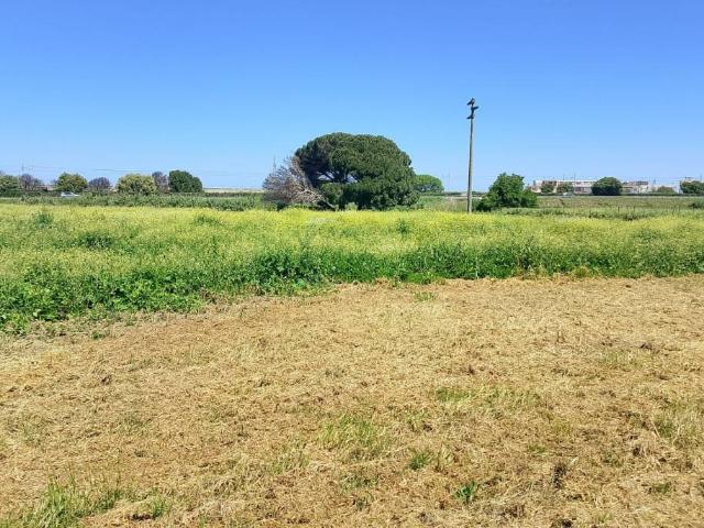 Rustico in vendita a Torregrotta, Sicilia