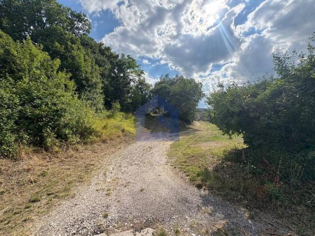 Rustico in vendita a Torricella Peligna, Abruzzo