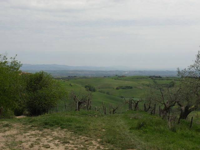 Rustico in vendita a Torrita, Toscana