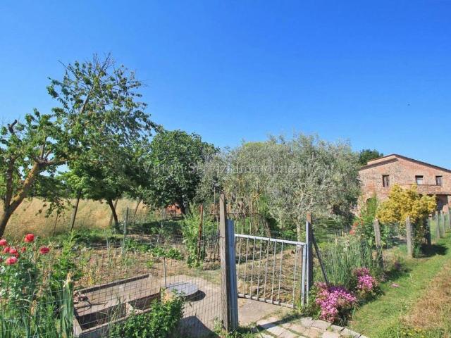 Rustico in vendita a Torrita, Toscana