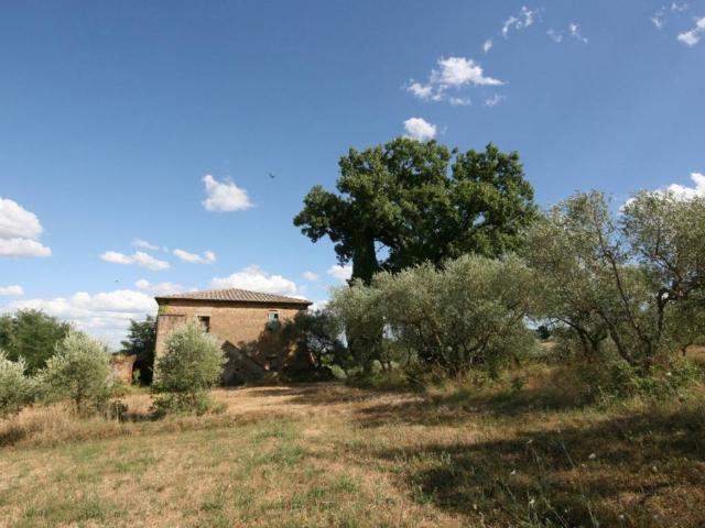 Rustico in vendita a Torrita, Toscana