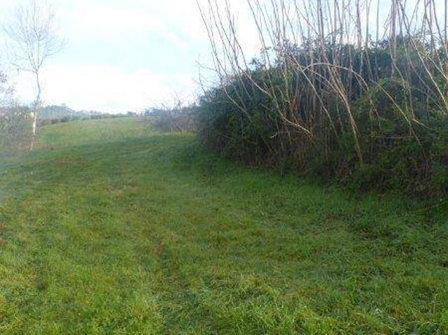 Rustico in vendita a Unione dei Comuni della Val Vibrata, Tortoreto