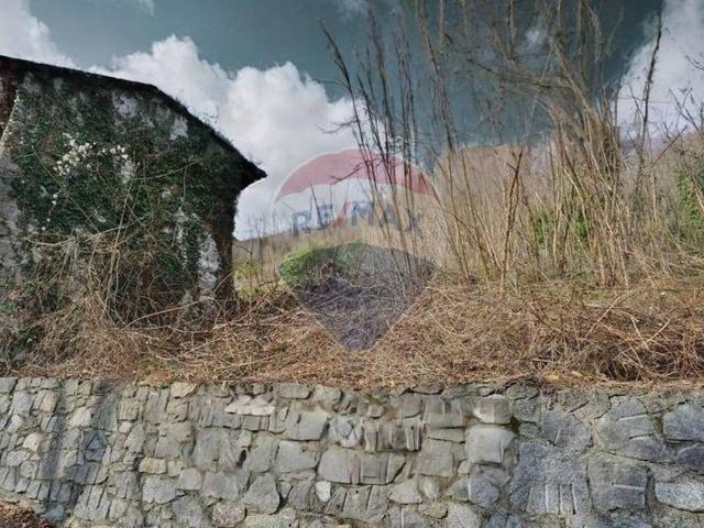 Rustico in vendita a Traona, Lombardia