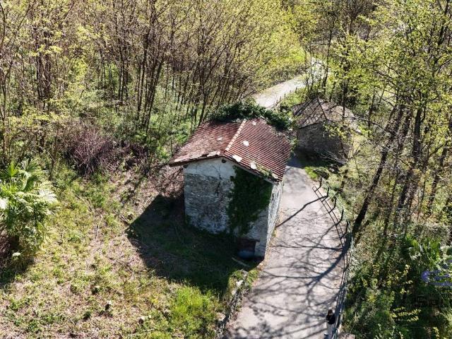 Rustico in vendita a Traona, Lombardia