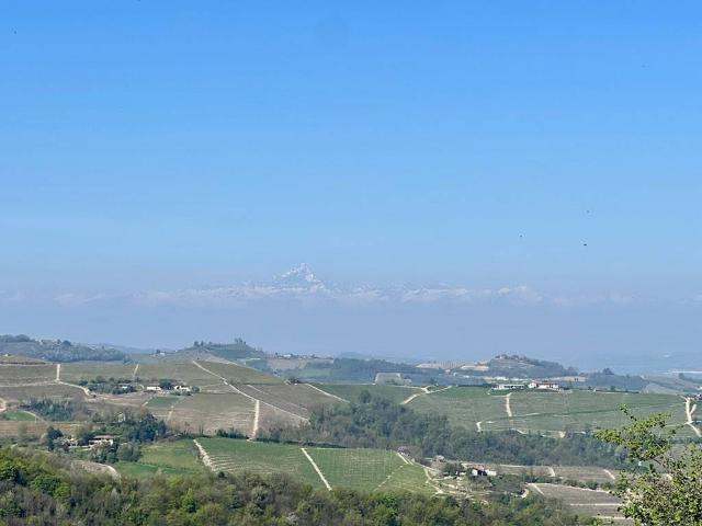 Rustico in vendita a Treiso, Cuneo