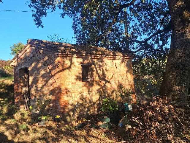 Rustico in vendita a Trequanda, Toscana