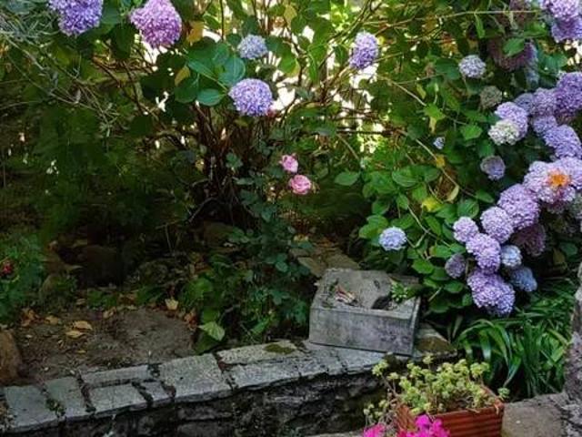 Rustico in vendita a Unione di comuni Montana Lunigiana, Tresana