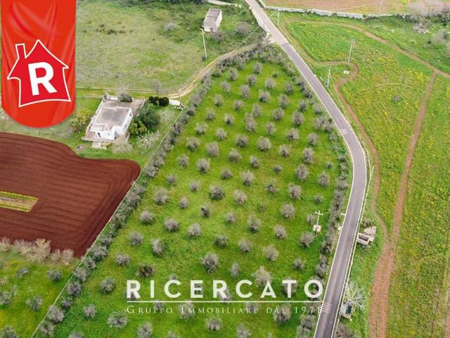Rustico in vendita a Puglia, Lecce