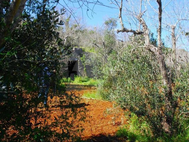 Rustico in vendita a Puglia, Lecce