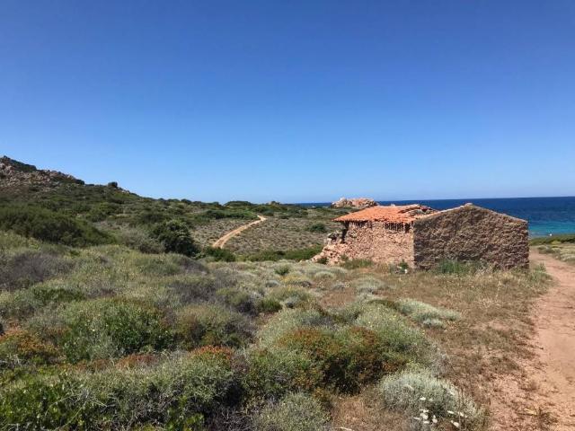 Rustico in vendita a Trinità d'Agultu e Vignola, Sardigna/Sardegna