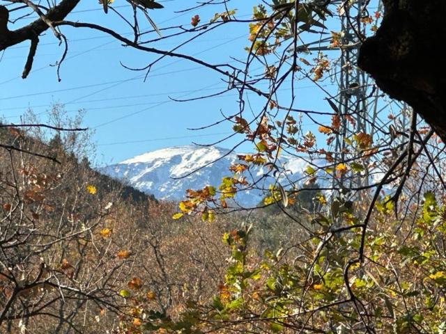 Rustico in vendita a Turrivalignani, Abruzzo