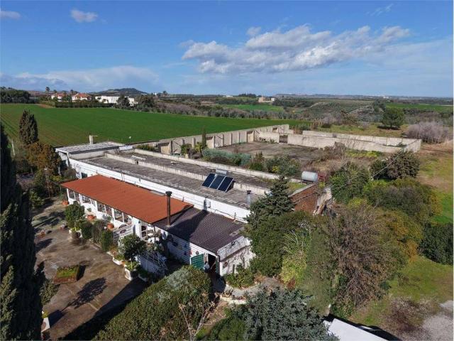 Rustico in vendita a Tursi, Basilicata