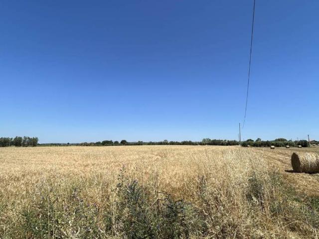 Rustico in vendita a Tuscania, Lazio