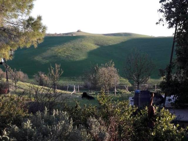 Rustico in vendita a Tuscania, Viterbo