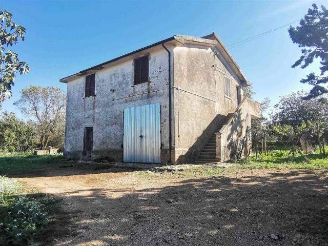 Rustico in vendita a Tuscania, Lazio