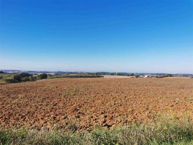 Rustico in vendita a Tuscania, Lazio
