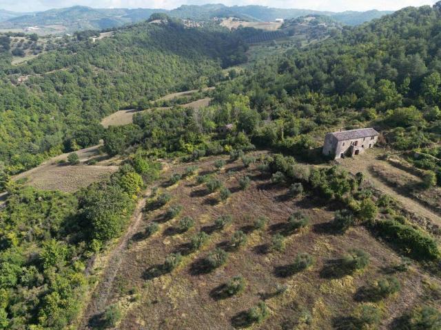 Rustico in vendita a Umbertide, Umbria