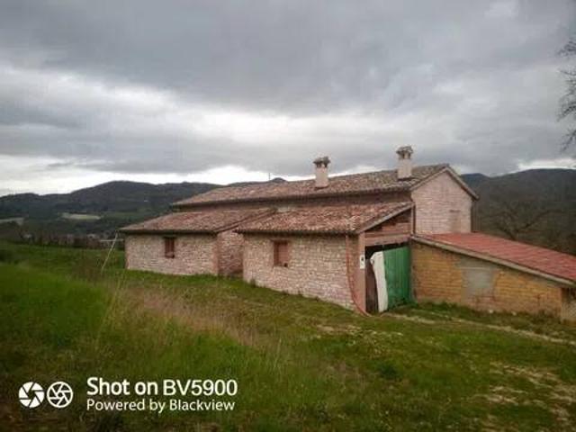 Rustico in vendita a Pallino, Marche