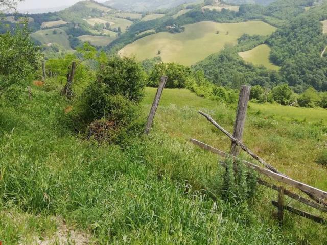 Rustico in vendita a Urbino, Pesaro e Urbino