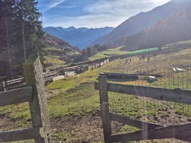 Rustico in vendita a Valbondione, Lombardia
