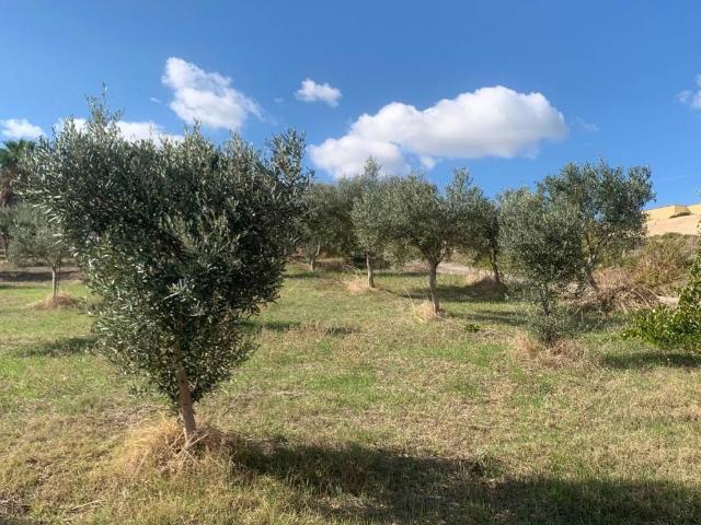 Rustico in vendita a Valderice, Sicilia