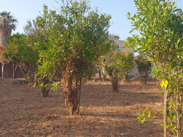 Rustico in vendita a Fondachello, Valdina
