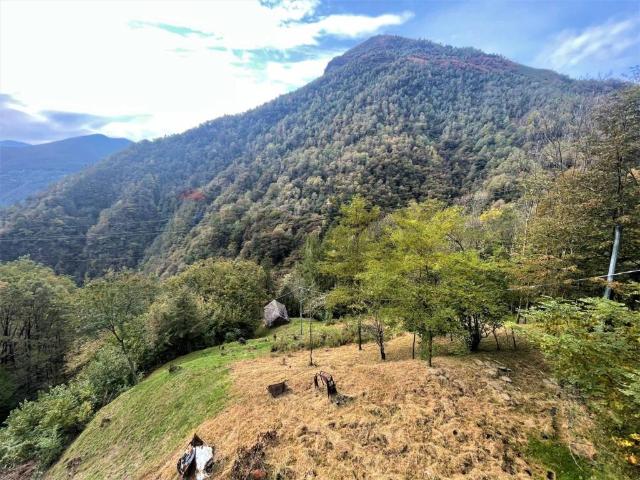 Rustico in vendita a Valle Cannobina, Piemonte