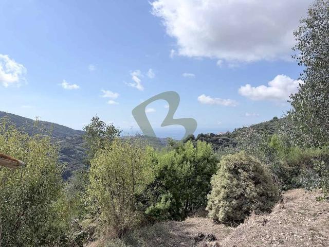 Rustico in vendita a Vallebona, Liguria