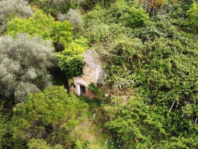 Rustico in vendita a Madonna della Neve, Vallebona