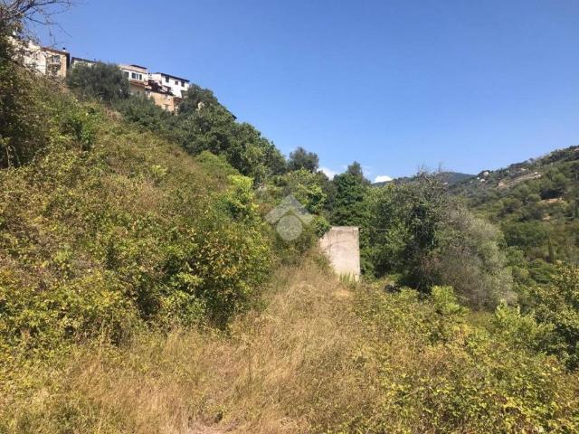 Rustico in vendita a Vallebona, Liguria