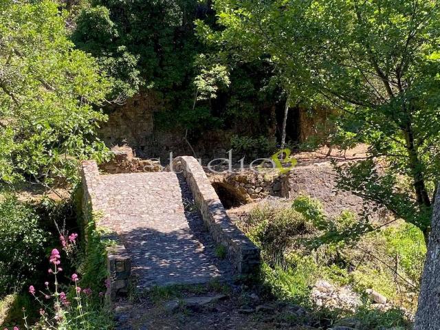 Rustico in vendita a Vallebona, Liguria